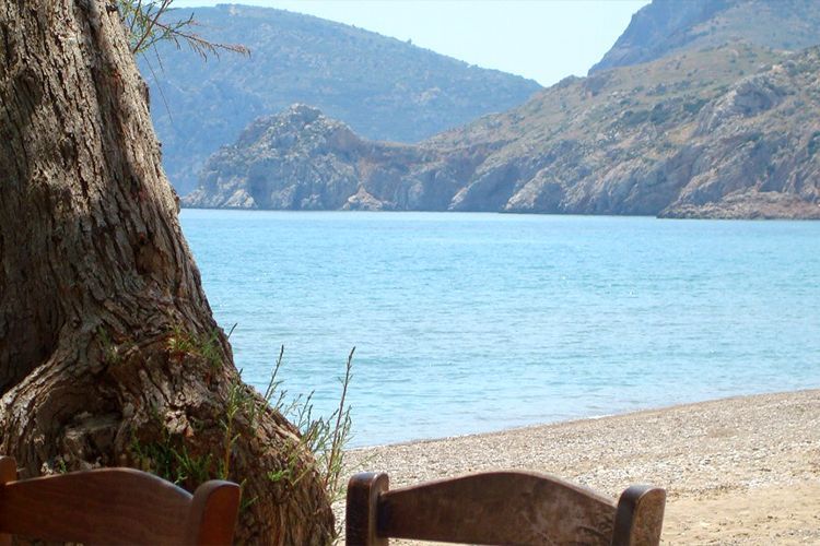 Παραλία Κώμης 4